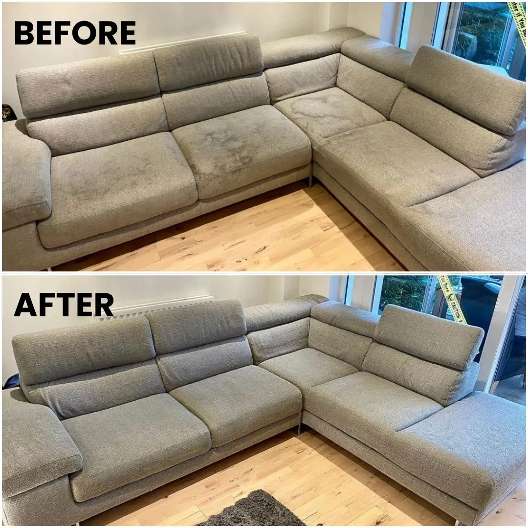 Professional sofa cleaning
